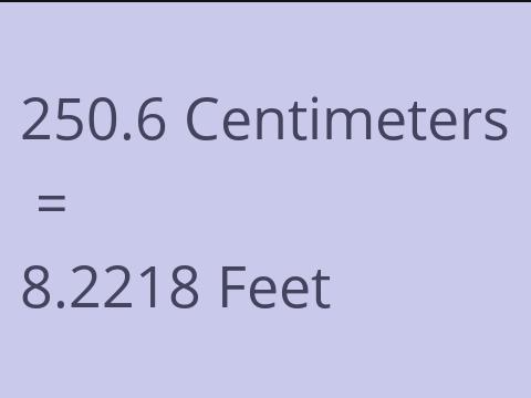 250.6 CM TO FEET