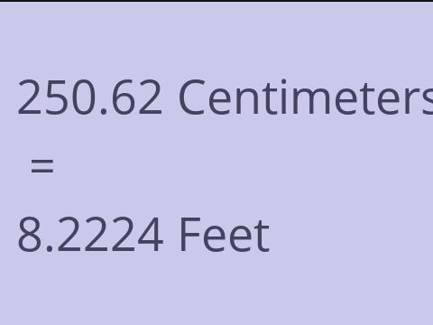 250.62 CM TO FEET