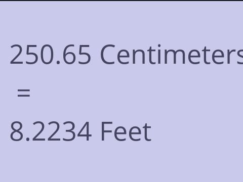 250.65 CM TO FEET