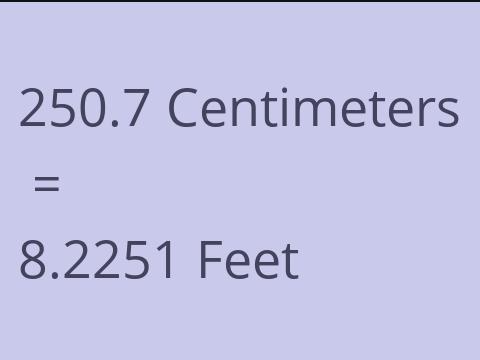 250.7 CM TO FEET