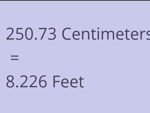 250.73 CM TO FEET