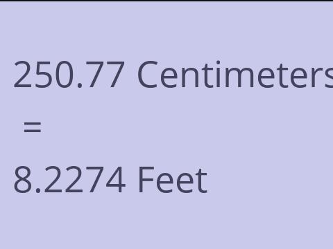 250.77 CM TO FEET