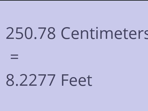 250.78 CM TO FEET