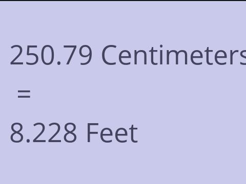 250.79 CM TO FEET