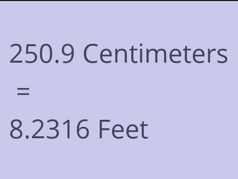 250.9 CM TO FEET