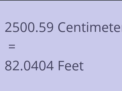 2500.59 CM TO FEET