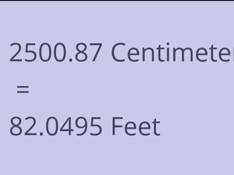 2500.87 CM TO FEET