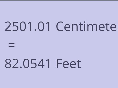 2501.01 CM TO FEET