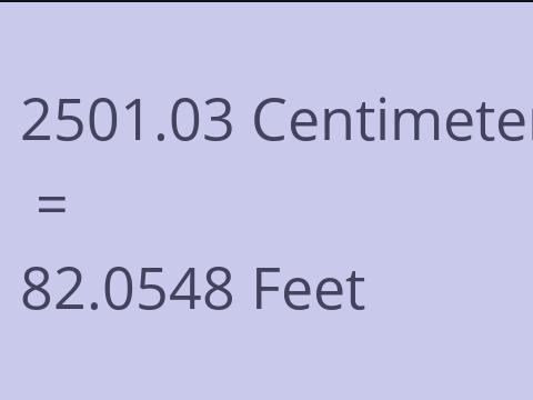 2501.03 CM TO FEET