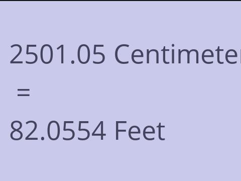 2501.05 CM TO FEET