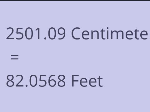 2501.09 CM TO FEET