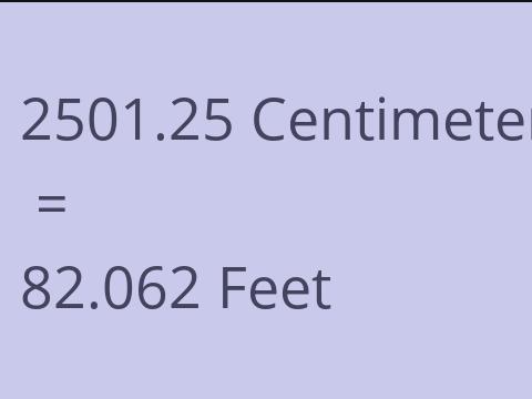 2501.25 CM TO FEET