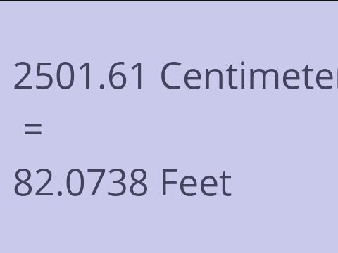 2501.61 CM TO FEET
