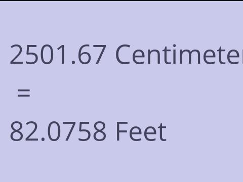 2501.67 CM TO FEET