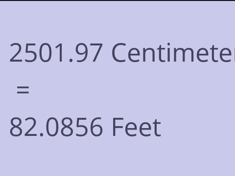 2501.97 CM TO FEET