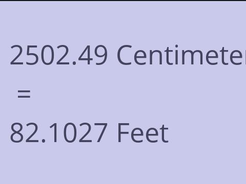 2502.49 CM TO FEET