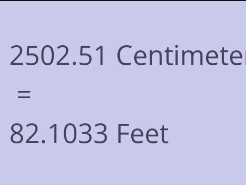 2502.51 CM TO FEET