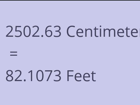 2502.63 CM TO FEET