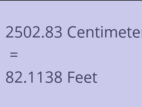 2502.83 CM TO FEET