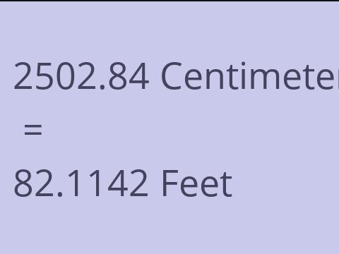 2502.84 CM TO FEET