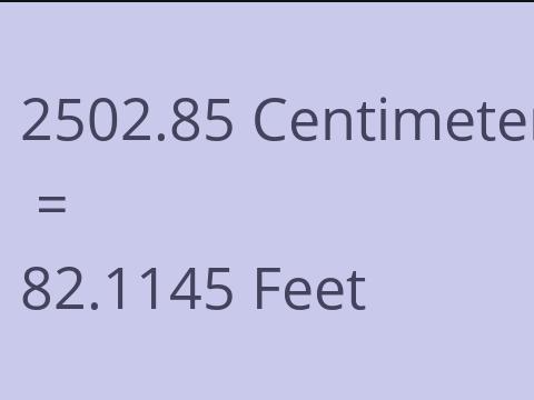 2502.85 CM TO FEET