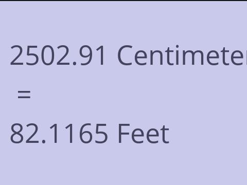 2502.91 CM TO FEET