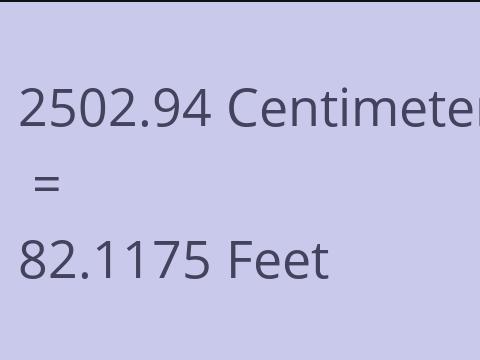2502.94 CM TO FEET