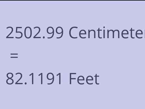 2502.99 CM TO FEET