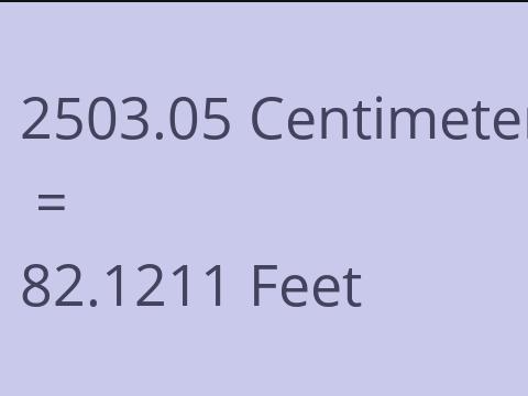 2503.05 CM TO FEET