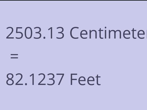 2503.13 CM TO FEET
