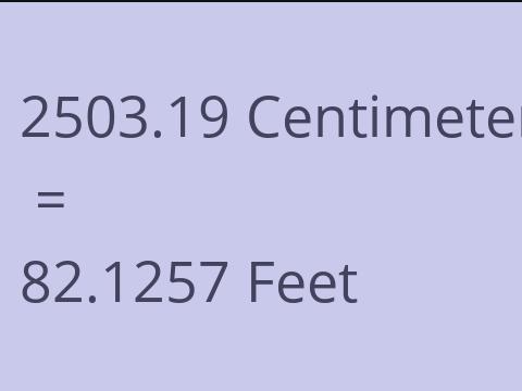 2503.19 CM TO FEET