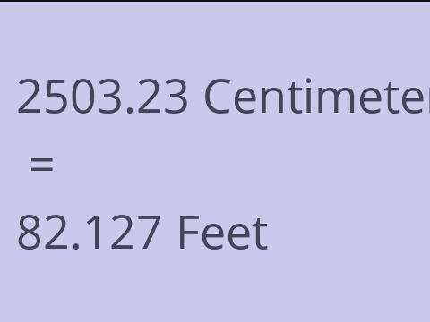 2503.23 CM TO FEET