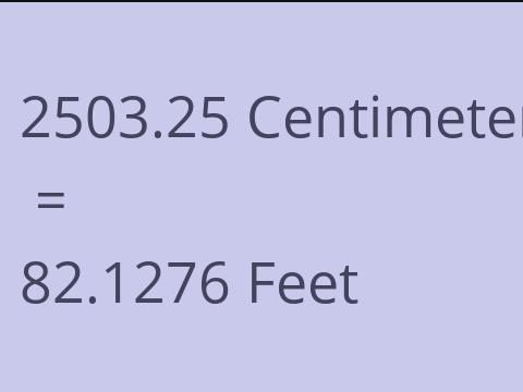 2503.25 CM TO FEET