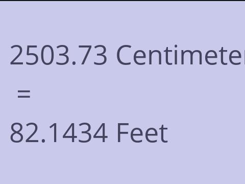 2503.73 CM TO FEET