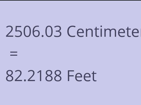 2506.03 CM TO FEET