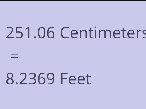 251.06 CM TO FEET