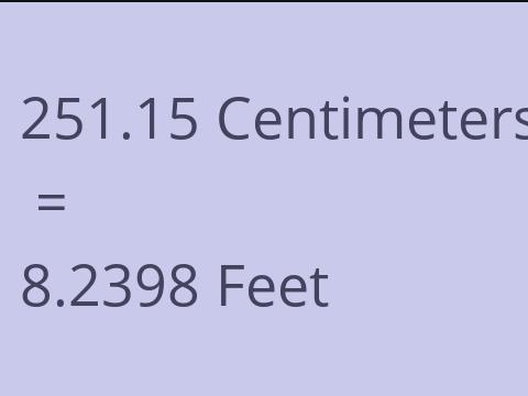 251.15 CM TO FEET