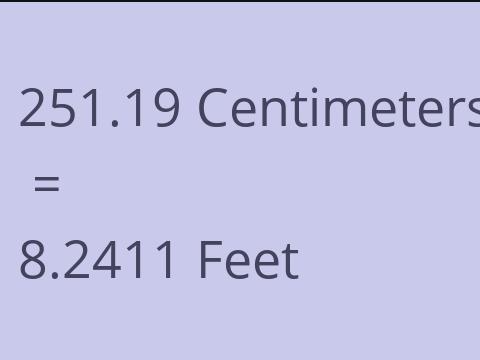 251.19 CM TO FEET