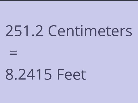 251.2 CM TO FEET