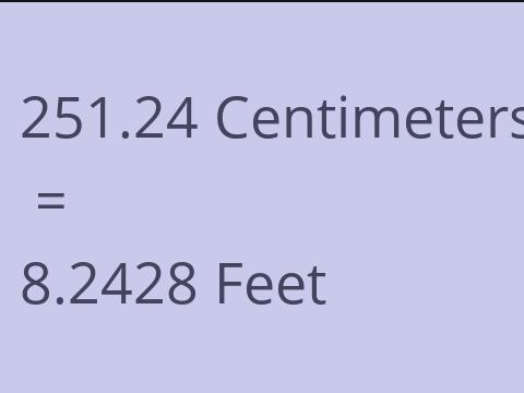 251.24 CM TO FEET