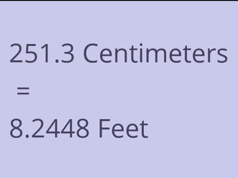 251.3 CM TO FEET