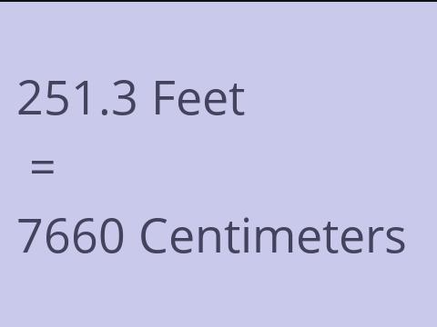 251.3 FEET TO CM