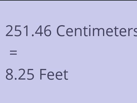 251.46 CM TO FEET