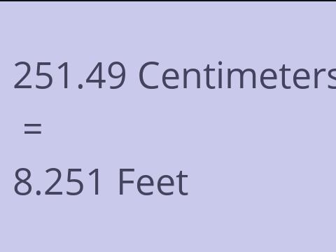 251.49 CM TO FEET