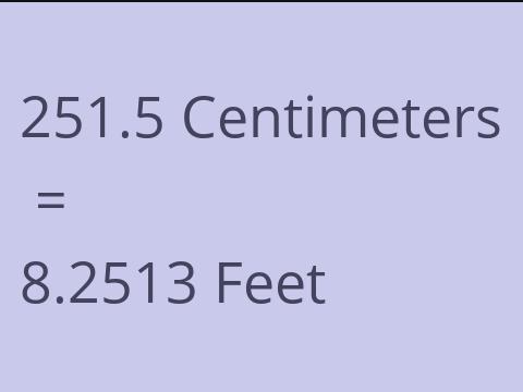 251.5 CM TO FEET