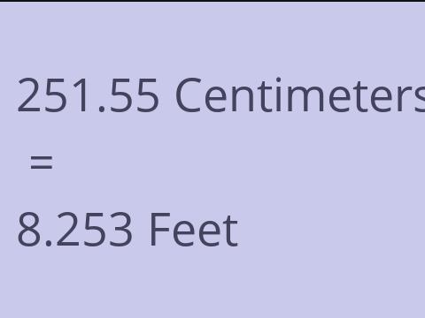 251.55 CM TO FEET