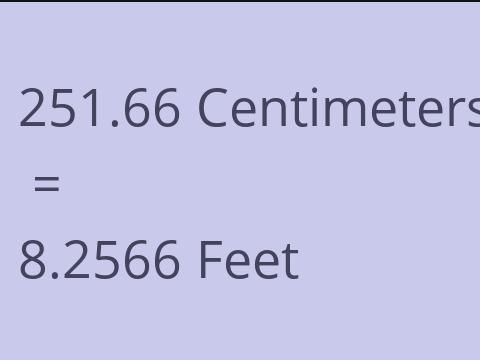 251.66 CM TO FEET