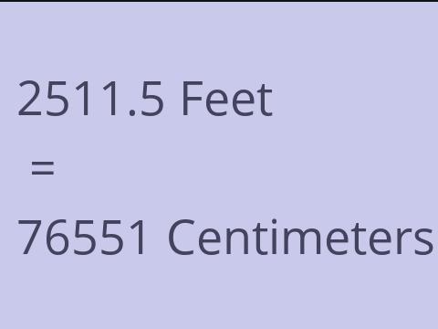 2511.5 FEET TO CM