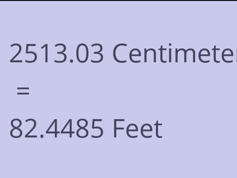 2513.03 CM TO FEET