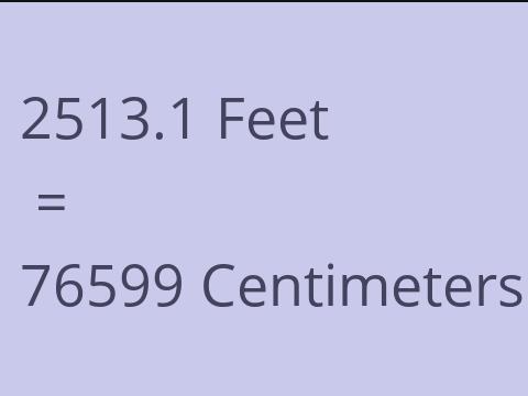 2513.1 FEET TO CM